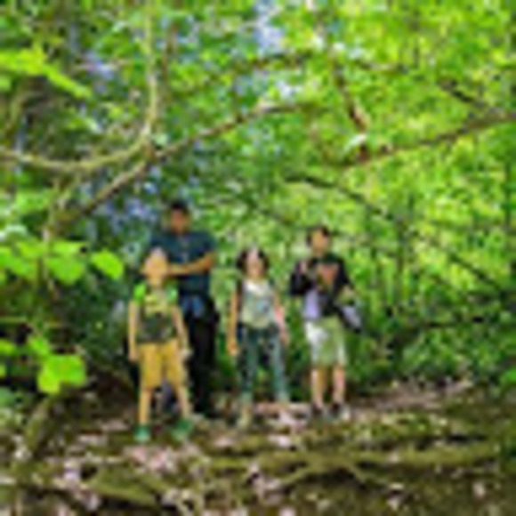 Meet your Posher, Beatriz - Picture 1 of 1